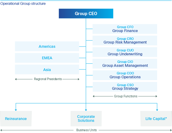 Operational Group structure (graphic)