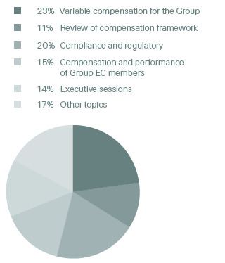 Compensation Committee’s time allocation to key topics in 2017 (pie chart)