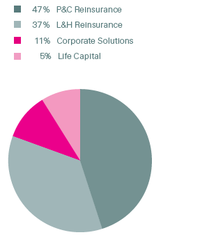 Net premiums earned and fee income by business segments (pie chart)
