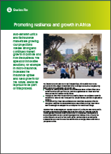 Promoting resilience and growth in Africa (cover)