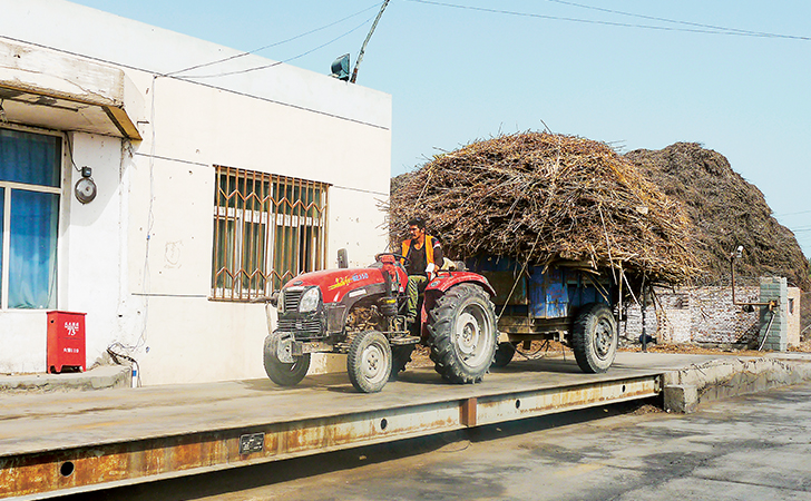A farmer delivering cotton stalks to a biomass power plant in northwestern China (photo)