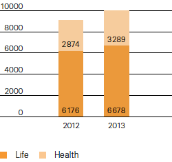 Premiums earned by L&H segment, 2012–2013 (bar chart)