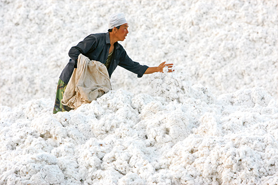 Cotton farmer in Xinjang (photo)