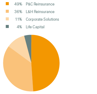 Net premiums and fees earned by Business Segment, 2017 (pie chart)