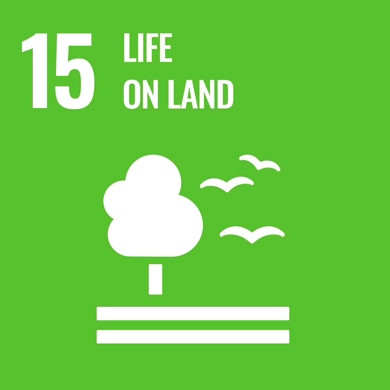 Related UN Sustainable Development Goals icon 7