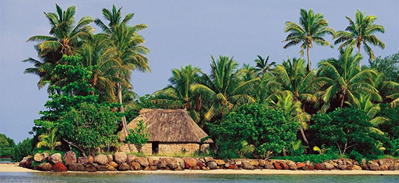 Straw hut surrounded by dense vegetation on a pacific island (photo)