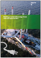 Building a sustainable energy future: risks and opportunities (cover)