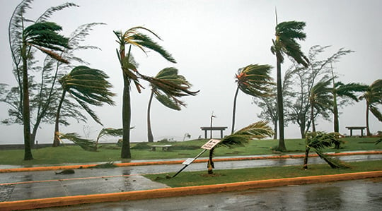 A hurricane sweeps through a street (photo)