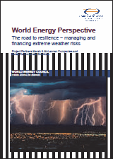 World Energy Perspective: The road to resilience – managing and financing extreme weather risks (cover)