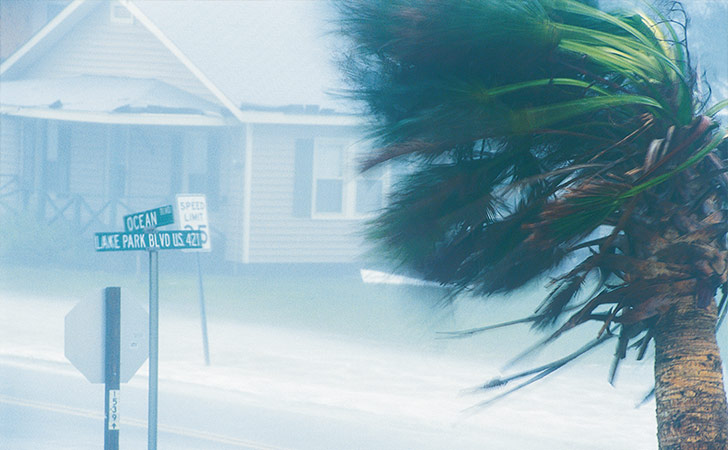 View on a street during a hurricane in the US (photo)