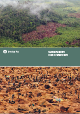 Sustainability Risk Framework publication (cover)
