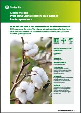 Closing the gap: Protecting China’s cotton crop against low temperatures (cover)