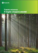 Forestry insurance: A largely untapped potential (cover)