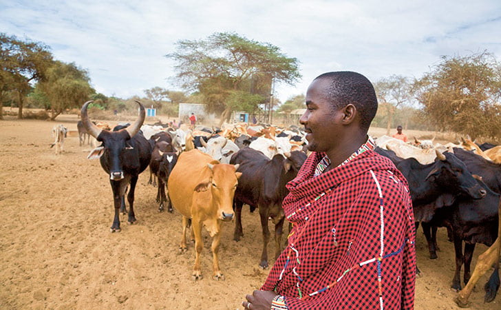 Farmer from Kenya with his cattle (photo)