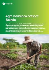 Agro insurance hotspot: Bolivia (cover)