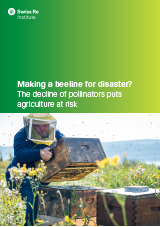 Publication cover: Making a beeline for disaster? The decline of pollinators puts agriculture at risk (photo)