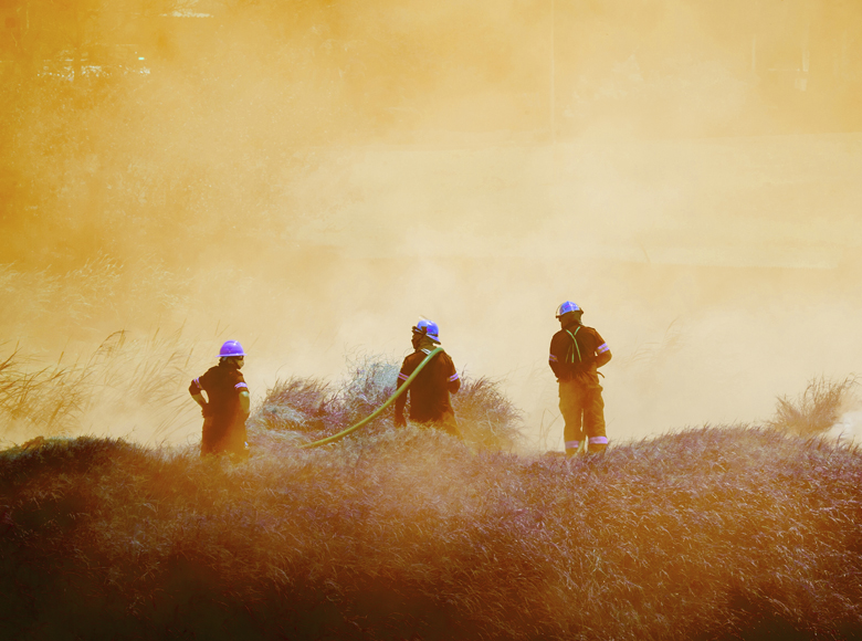 Firefighters on a hill (photo)